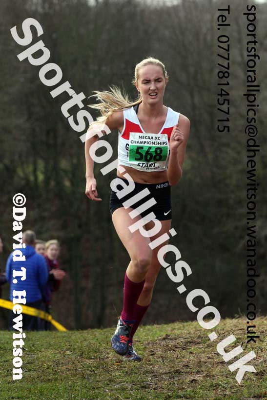 Womens under-17s and 20s North Eastern Cross Country, Aykley Heads, Durham. Photo: David T. Hewitson/Sports for All Pics